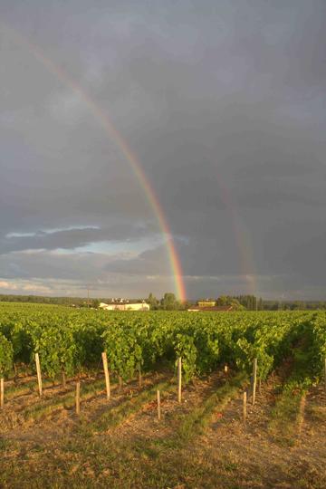 bordeauxrainbowsmall