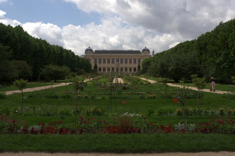 Jardin des Plants by A.M. Roos