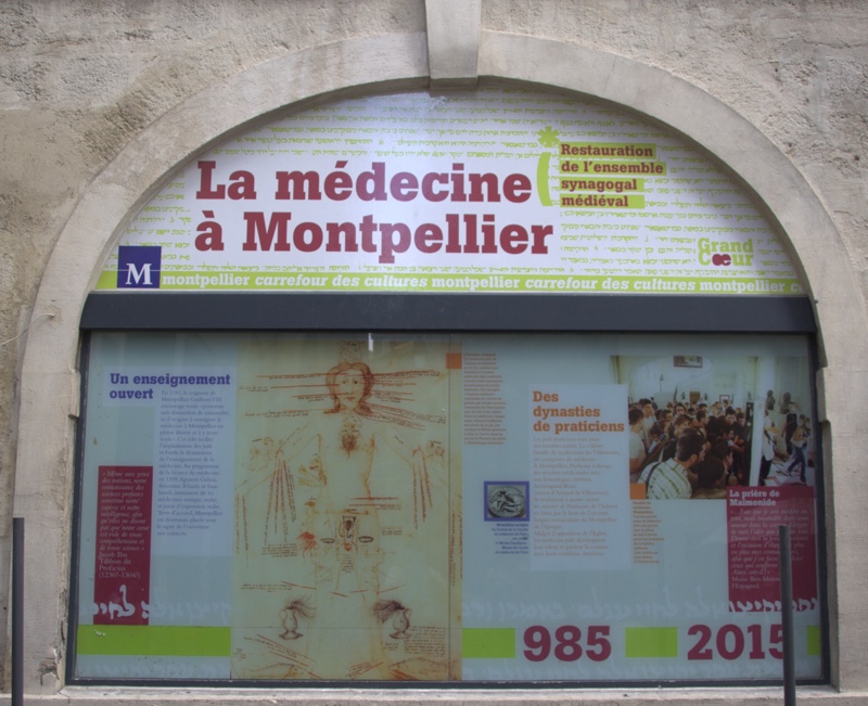 Medieval Medicine, Montpellier by A.M. Roos