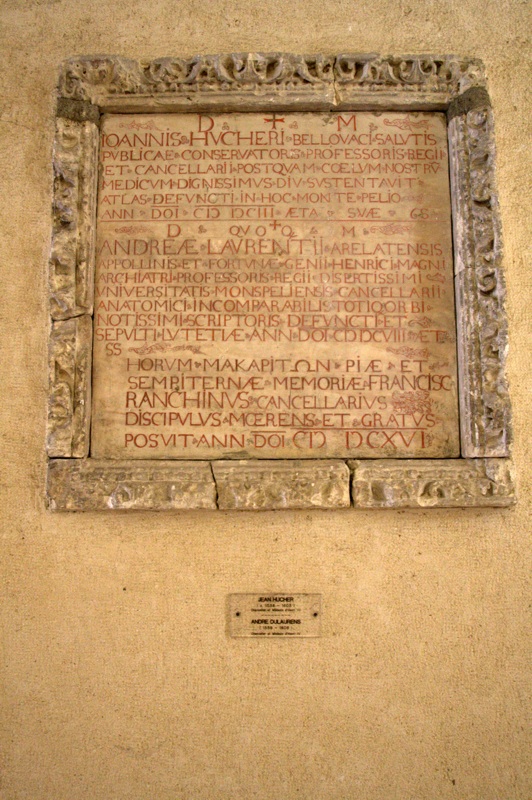 Dedicatory plaque to Regius Professors in Montpellier by A.M. Roos